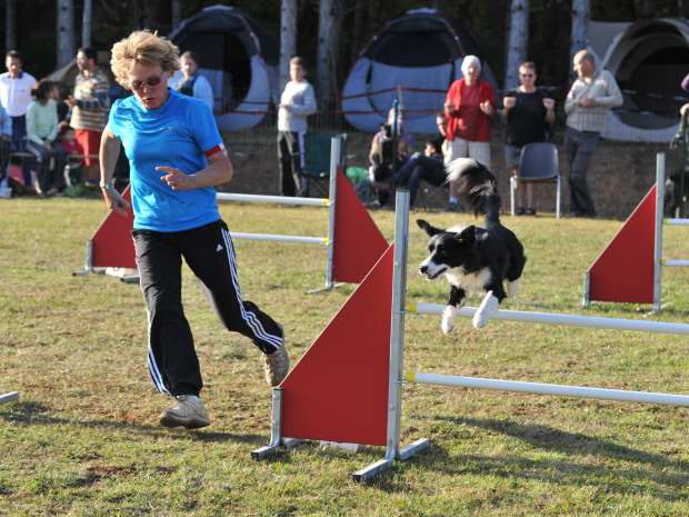 Concours d'agility, Messigny Vantoux, 30 septembre 2012