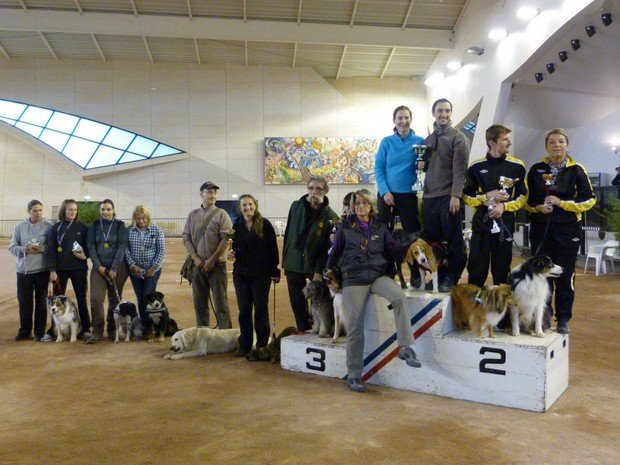 Concours d'agility, Le Creusot, 4 novembre 2012