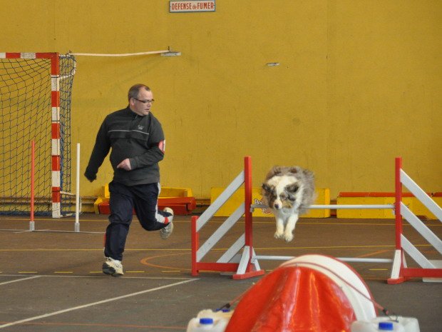 Concours d'agility, Seurre, 26 février 2012