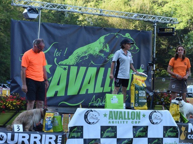 concours d'agility, Avallon Cup 2016