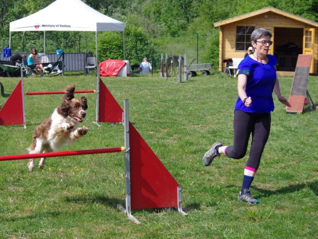 Concours d'agility, Messigny Vantoux, 12 mai 2018
