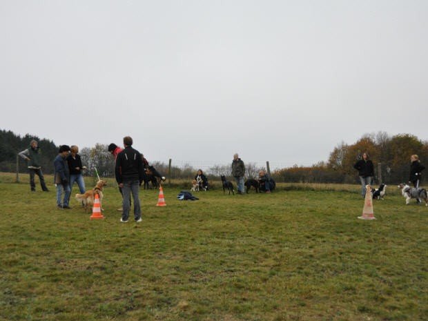 Stage Flyball, Le Creusot novembre 2011
