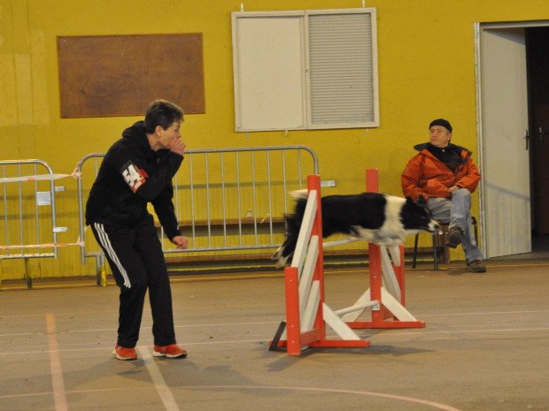 Concours d'agility, Seurre, 26 février 2012