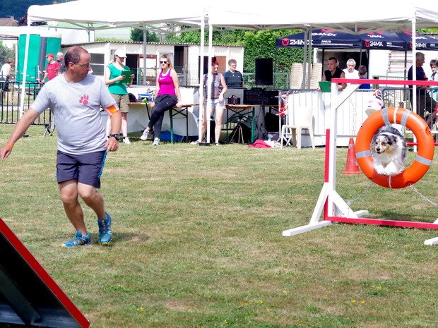 Concours d'agility, Montbard, 25 juin 2017