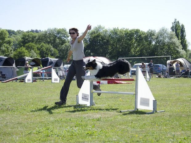 Concours d'agility, Montbard, 29 mai 2011