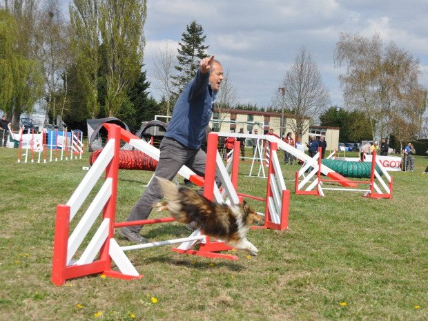 Concours d'agility, Barges, 8 avril 2012