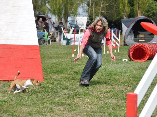 Concours d'agility, Barges, 8 avril 2012