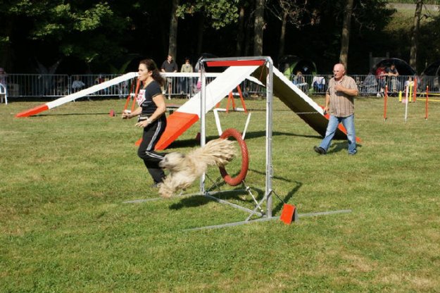 Concours d'agility, Châtenoy le Royal 27 septembre 2009