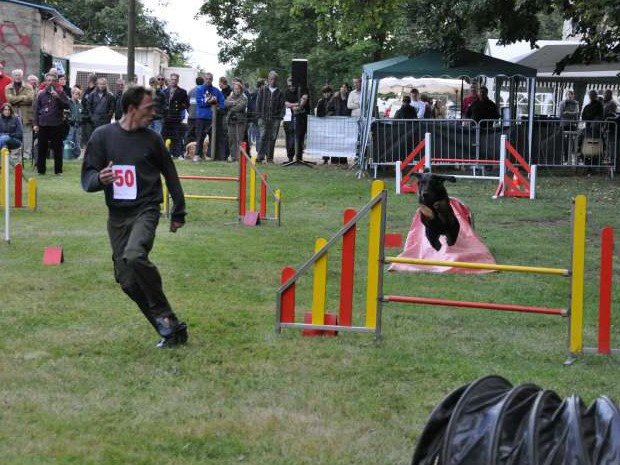 Concours d'agility, Châtenoy le Royal, 26 septembre 2010