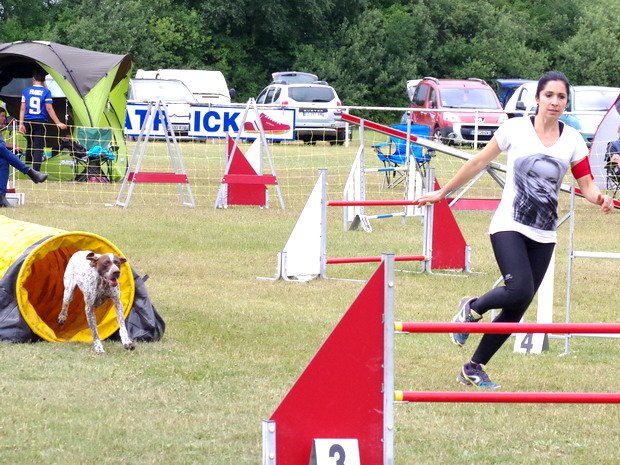 Concours d'agility, Magny sur Tille, 2 juillet 2017
