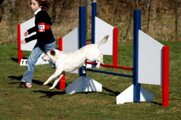 Concours d'agility, Neuvy sur Loire 14 mars 2010