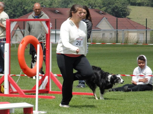 Concours d'agility, Semur en Auxois, 19 juin 2011