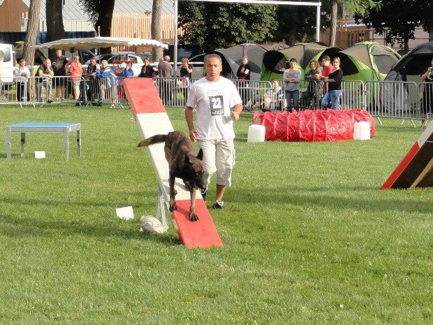 Concours d'agility, Nuits Saint Georges, 21 juillet 2012