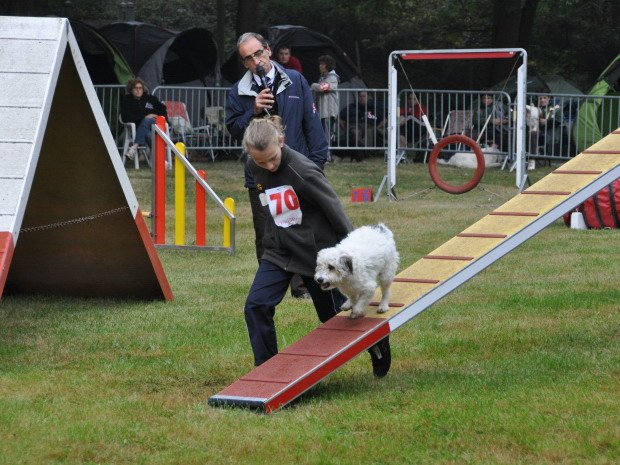 Concours d'agility, Châtenoy le Royal, 25 septembre 2011