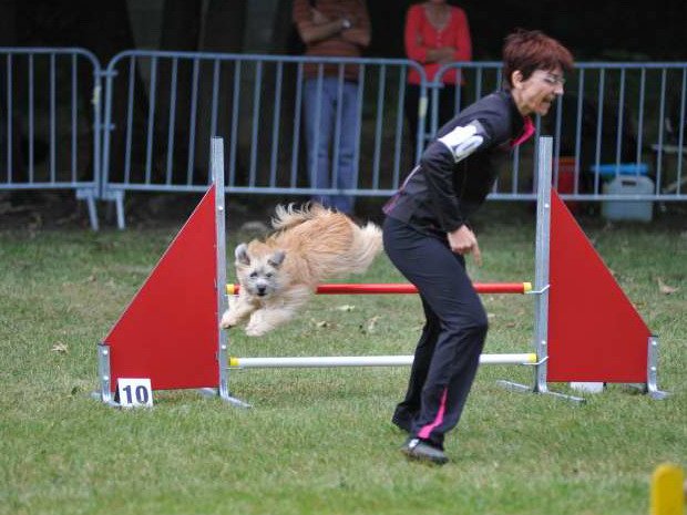 Concours d'agility, Châtenoy le Royal, le 23 septembre 2012
