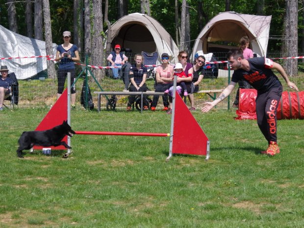 Concours d'agility, Messigny Vantoux, 12 mai 2018