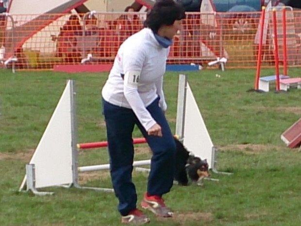 Concours d'agility, Challuy, 5 avril 2015