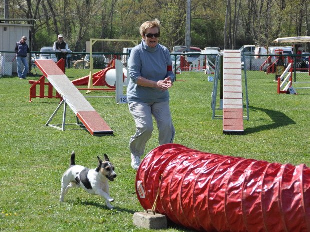 Concours d'agility, Macon, 1er avril 2012