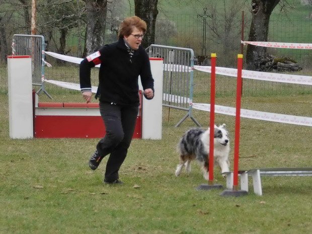 Concours d'agility, Girolles, 30 mars 2014