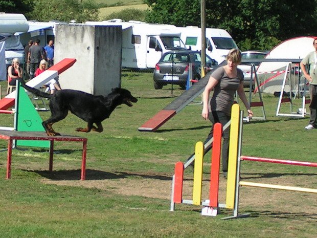 Concours d'agility, Montceau les Mines, 5 juin 2011