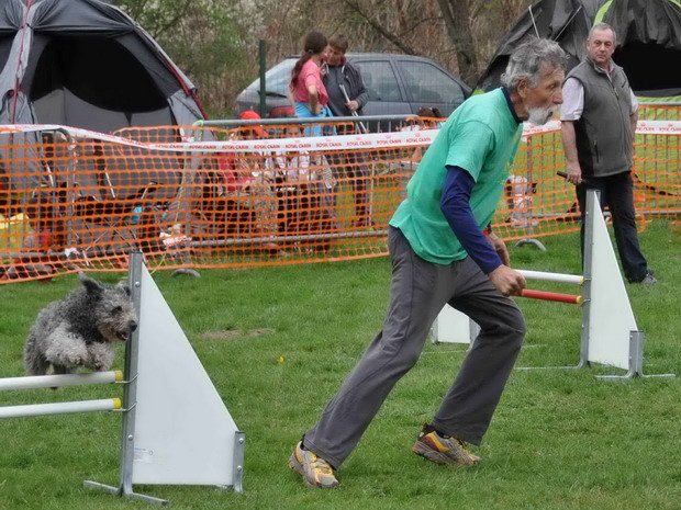 Concours d'agility, Challuy, 6 avril 2014