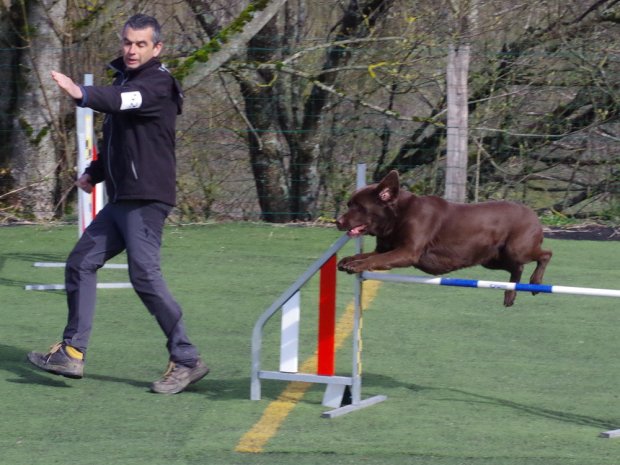 Concours d'agility, Le Creusot, 1er et 2 avril 2023