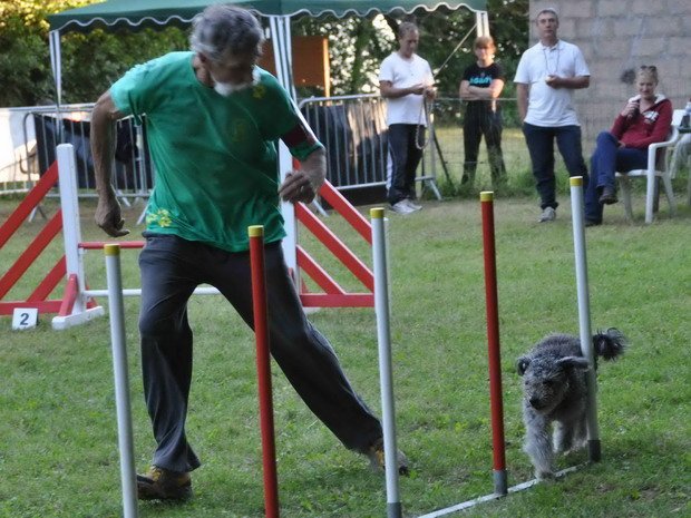 Concours d'agility, Châtenoy le Royal, 22 septembre 2013