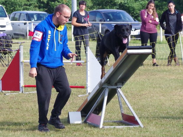 Concours d'agility, Magny sur Tille, 2 juillet 2017