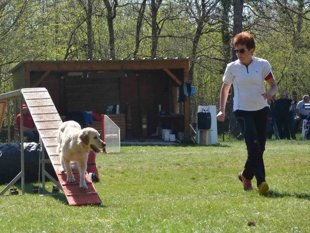 Concours d'agility, Daix, 19 avril 2015