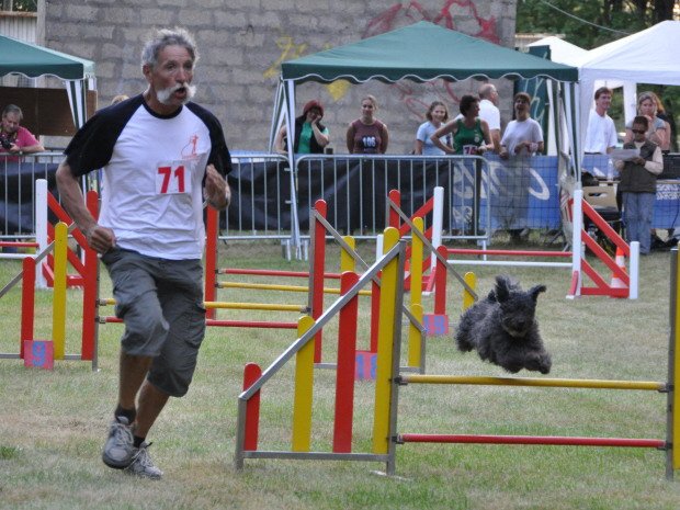 Concours d'agility, Châtenoy le Royal, 25 septembre 2011