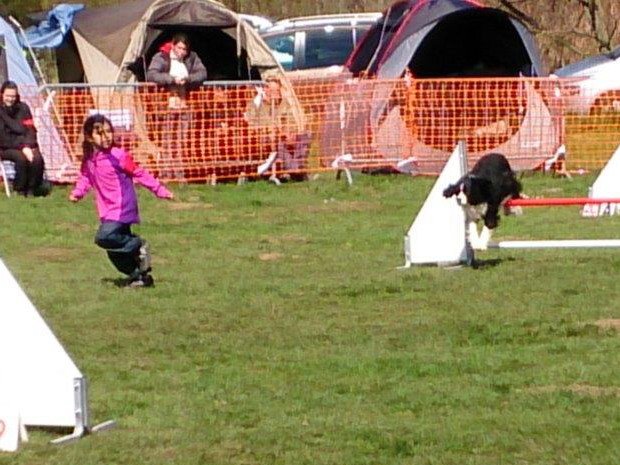 Concours d'agility, Challuy, 5 avril 2015