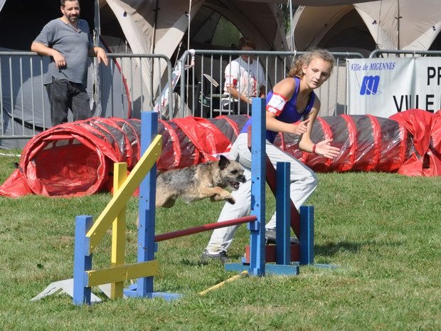 Concours d'agility, Migennes, 7 septembre 2014