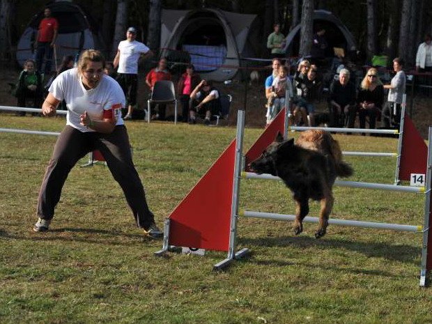 Concours d'agility, Messigny Vantoux, 30 septembre 2012